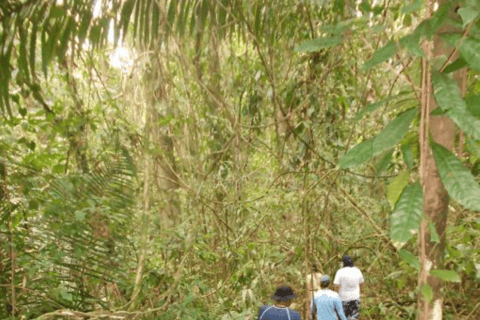 San Cristobal: 2 Days Jungle Kayaking Tour