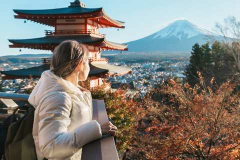 Mount Fuji Private Fully Adjustable Itinerary Guided Tour