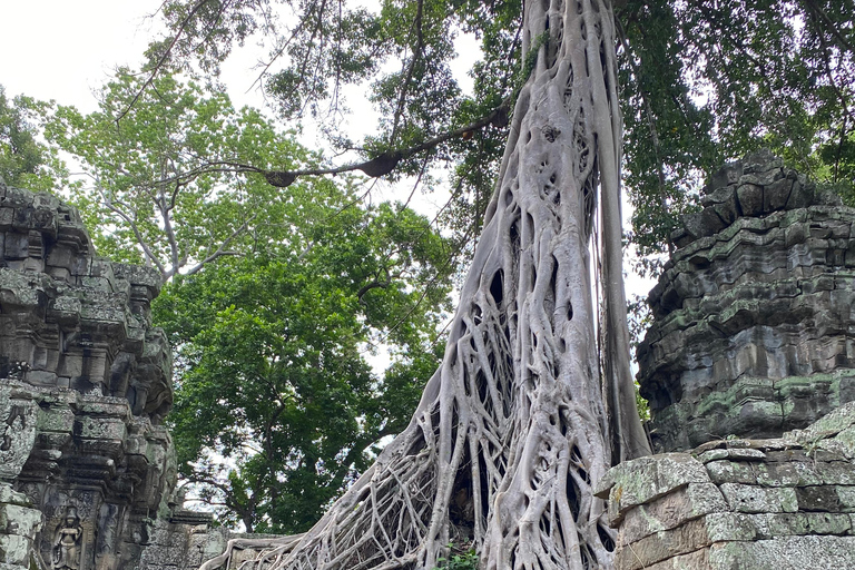 Personalized Angkor Wat Sunrise by AC Vehicle