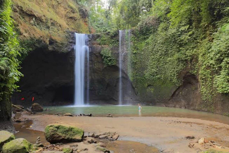 Ubud: Cascadas, Templo del Agua y Terrazas de Arroz Tour privadoTour privado con entrada Tikets