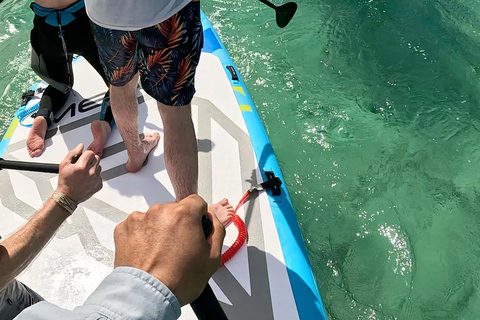 La Paz: Sea Lions & Mega-Paddleboard Tour in Espiritu Santo