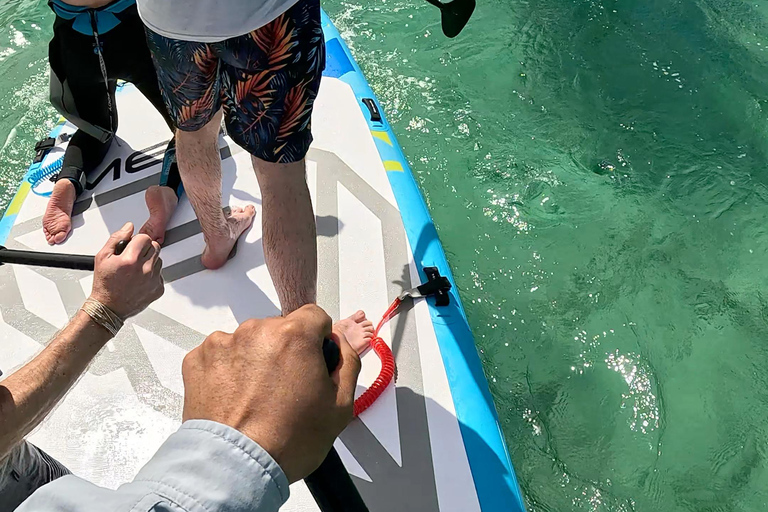La Paz: Sea Lions & Mega-Paddleboard Tour in Espiritu Santo