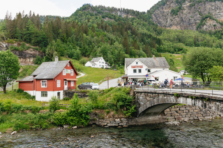 Bergen: Waterfalls of Hardangerfjord Guided Tour