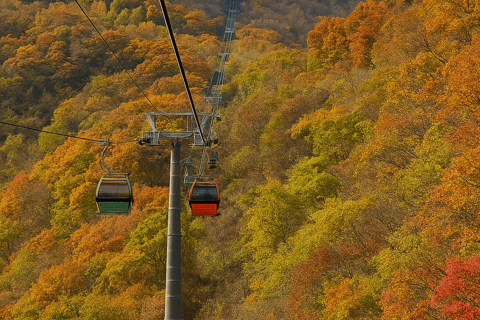 Excursion d&#039;une journée à Balwangsan : sentiers forestiers et vues panoramiques sur les hauts plateauxShinsegae Duty Free (Myeongdong)