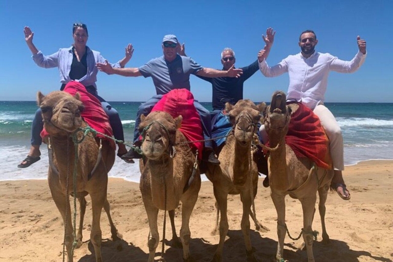 Visite privée de Tanger avec déjeuner et promenade à dos de chameau