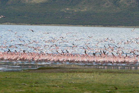Nairobi: Lake Bogoria Canoe and Birdwatching Tour