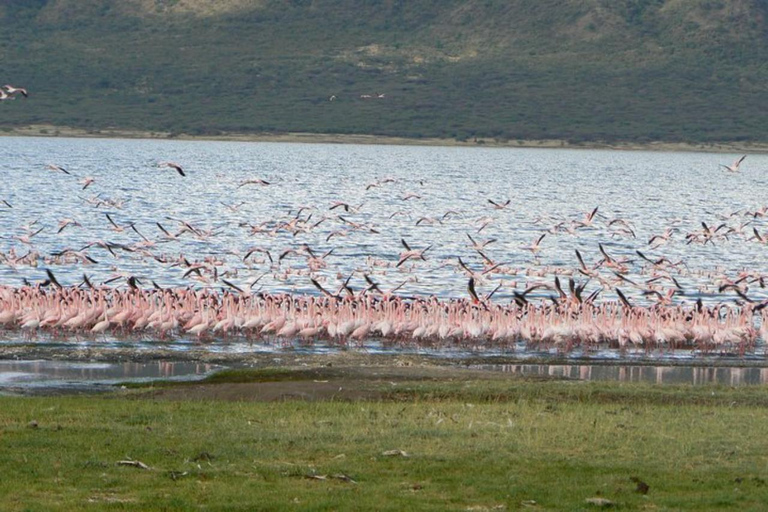 Nairobi: Lake Bogoria Canoe and Birdwatching Tour