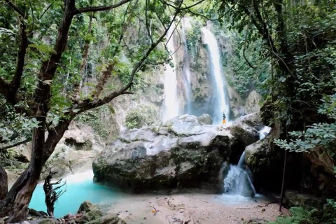 Oslob: Whaleshark Swimming, Inambakan Falls & Moalboal Tour