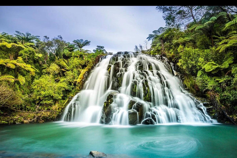 Auckland: Hidden Gem Coromandel& Cathedral Cove Private Day