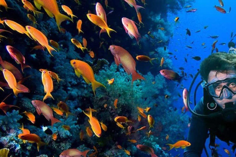 Jeddah: Scuba Diving Tour for Beginners