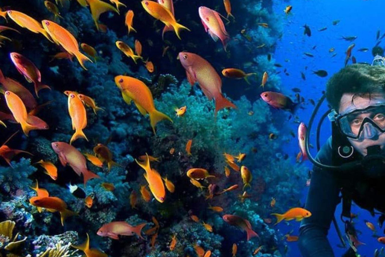 Jeddah: Scuba Diving Tour for Beginners