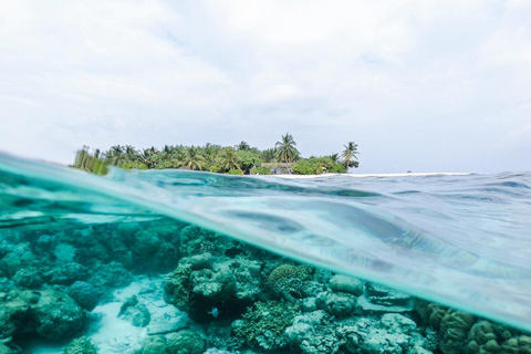 ZANZIBAR: SAFARI BLUE PRIVATE TOUR (KWALE ISLAND)& SEA FOOD