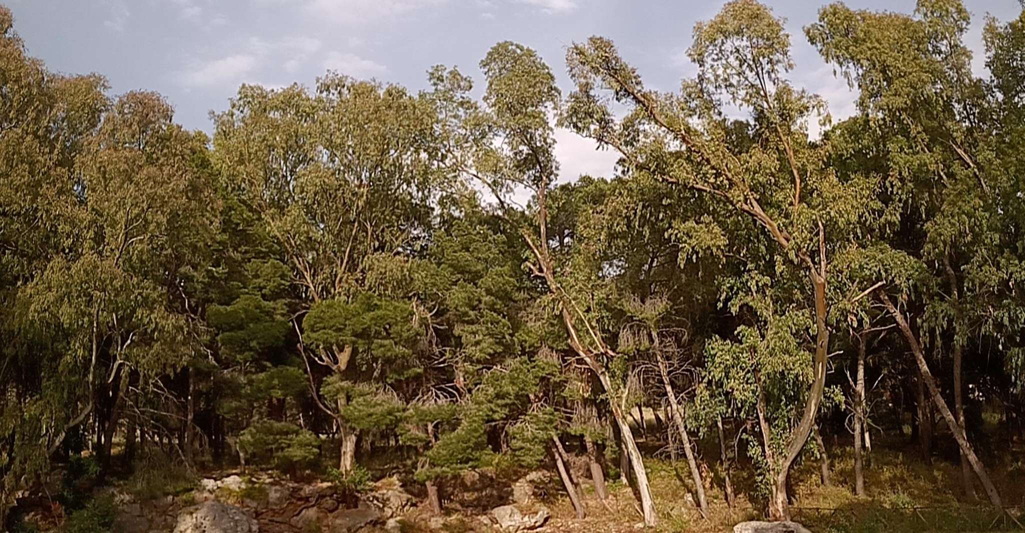 Palermo, un paseo por la naturaleza para descubrir Monte Pellegrino - Hizvo