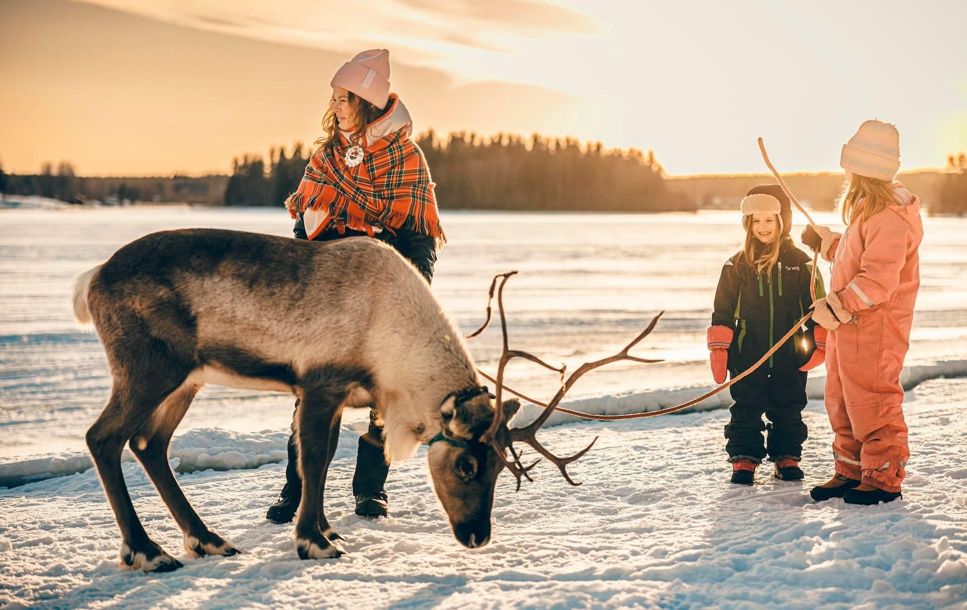 Luleå: Sami-Kultur & Rentier-Wintererlebnis