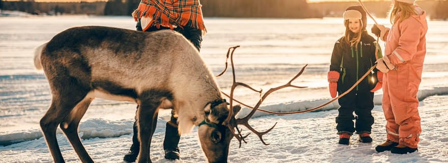 Luleå : Découvrez la culture sami et l'expérience hivernale des rennes