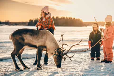 Luleå: Sami-Kultur & Rentier-Wintererlebnis