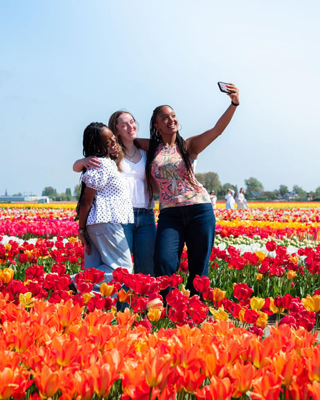 Lisse: Entrada para la Tulip Experience con jardín y museo de tulipanes