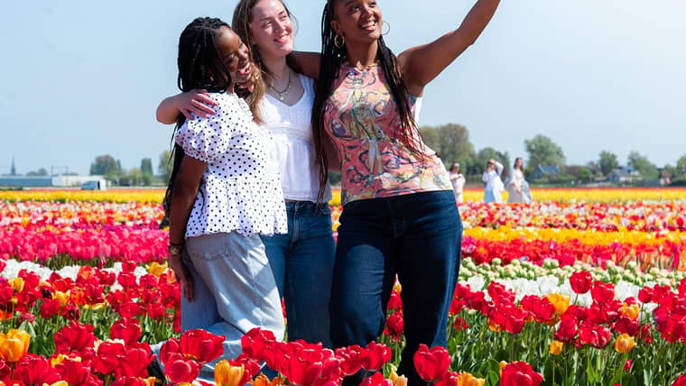 Las Mejores Actividades en Noordwijkerhout