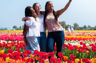 Lisse: Tulip Experience Ticket mit Tulpengarten und Museum