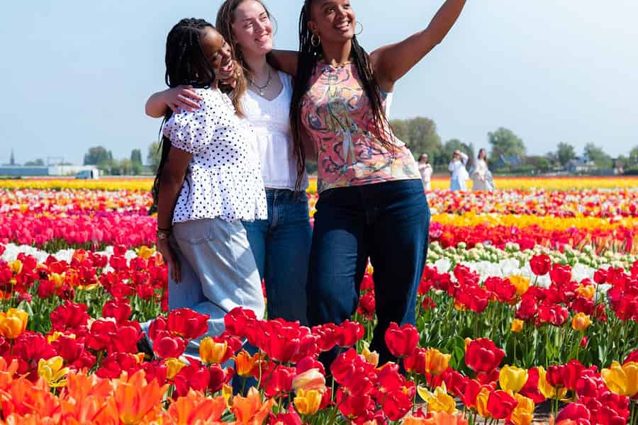 Lisse: Tulip Experience Ticket mit Tulpengarten und Museum. Foto: GetYourGuide Lisse: Tulip Experience Ticket mit Tulpengarten und Museum. Foto: GetYourGuide