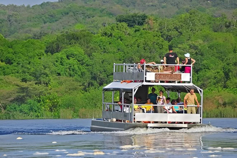 From Entebbe: 8-Day Luxury Safari with Gorilla Trekking