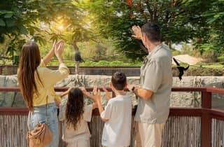 Dubai: biglietto d'ingresso al Dubai Safari Park