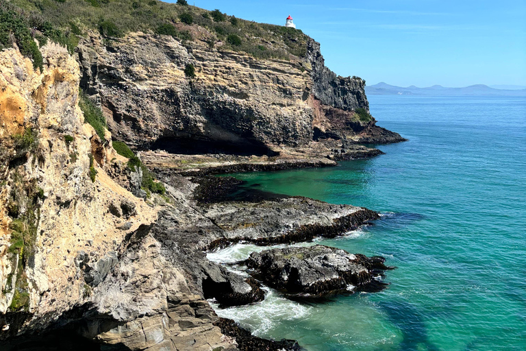 Dunedin City & Otago Peninsula Scenery Day Tour Private Tour