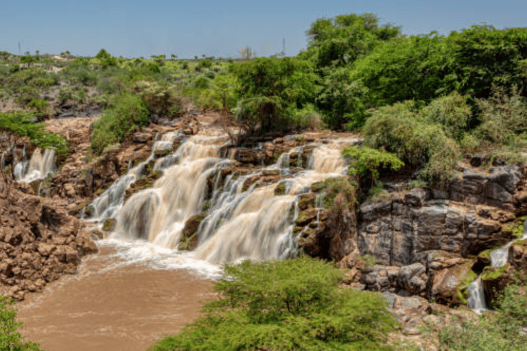 From Addis Ababa: 3-Day Awash Game Drive Safari Tour 3 Days Awash NP Game drive Safrai Tour