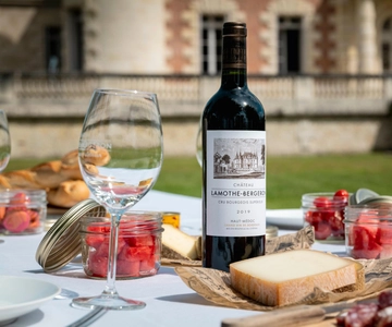Bordeaux: Rota dos Vinhos do Médoc - excursão privada de um dia e almoço de piquenique