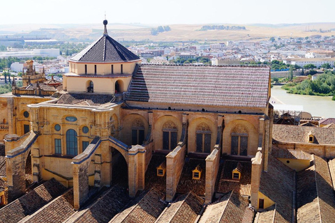 Sevilha: viagem em minibus privado para Córdoba para pequenos gruposSevilha: viagem de microônibus particular para Córdoba para grupos pequenos