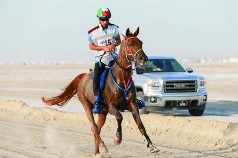 Doha: Souq Waqif Tour with Sealine Horse Riding Experience