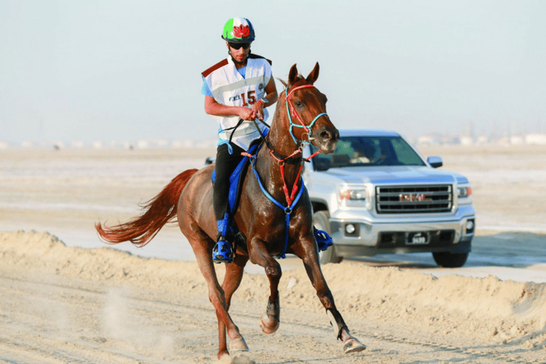 Doha: Souq Waqif Tour with Sealine Horse Riding Experience