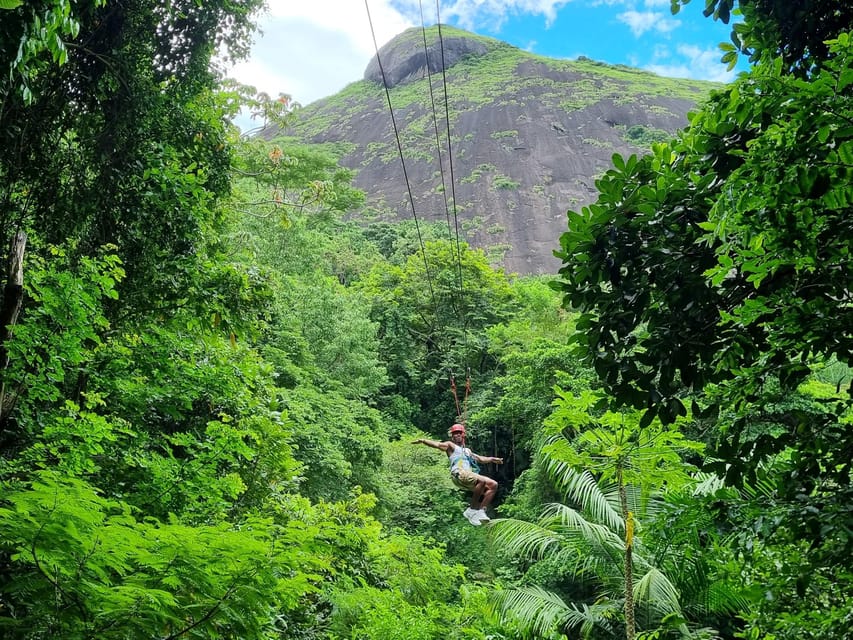 Zip Line Rio Rio de Janeiro: Zip Lining ve Gölgelik Ağaç Turu | GetYourGuide