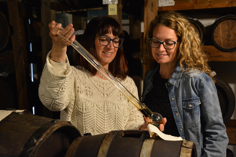 Modena: Balsamic Vinegar Tour and Tasting