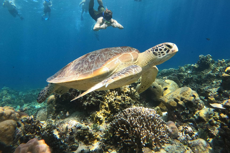 Gili Trawangan Snorkeling en groupe/en public 3 Gili&#039;s Island