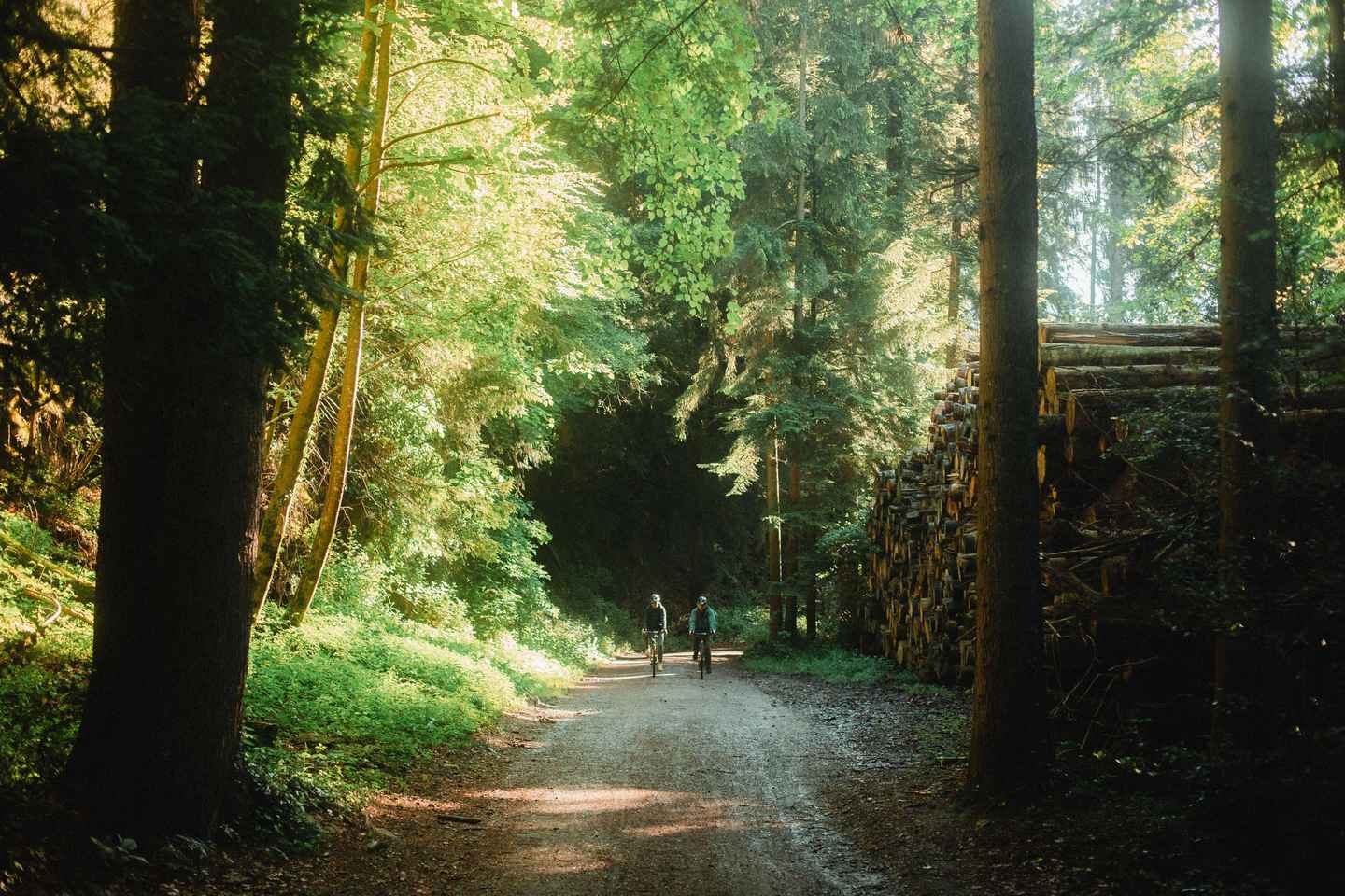 Interlaken Valley E-Bike Tour: Rivers, Lakes & Forests