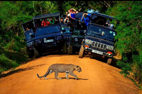 Colombo / Negombo - Yala Day Tour & Sightseeing Galle Fort