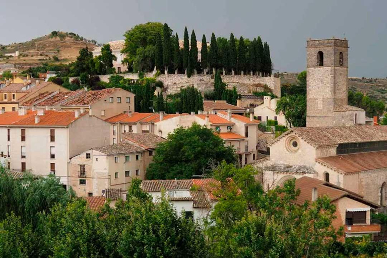 From Madrid: Brihuega Lavender Fields Guided Tour