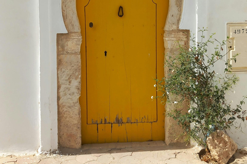 Full-Day Guided Djerba Island Tour & Crocodile Park + Lunch