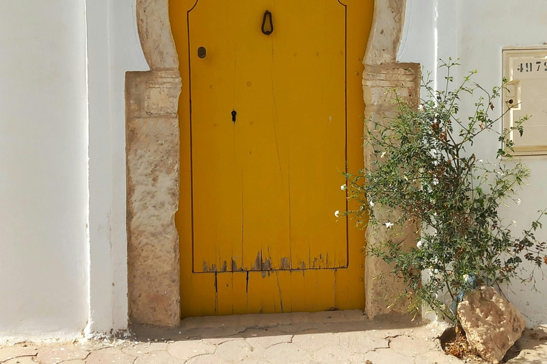 Full-Day Guided Djerba Island Tour & Crocodile Park + Lunch