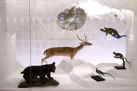 Bilet łączony do Muzeum Miniatur w Tajpej + 2 muzea