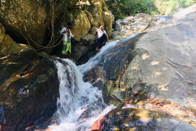 Ella: Little Adam’s Peak Jungle Route Guided Hike