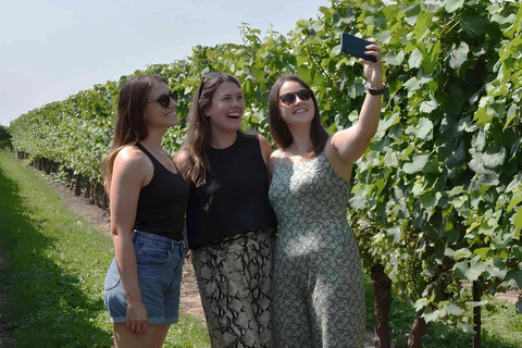 Von Toronto aus: Niagara-on-the-Lake, Wein- und Schokoladentagestour