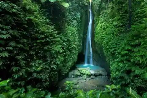 Bali: Tour delle terrazze di riso di Jatiluwih, del tempio dell'acqua e delle cascate