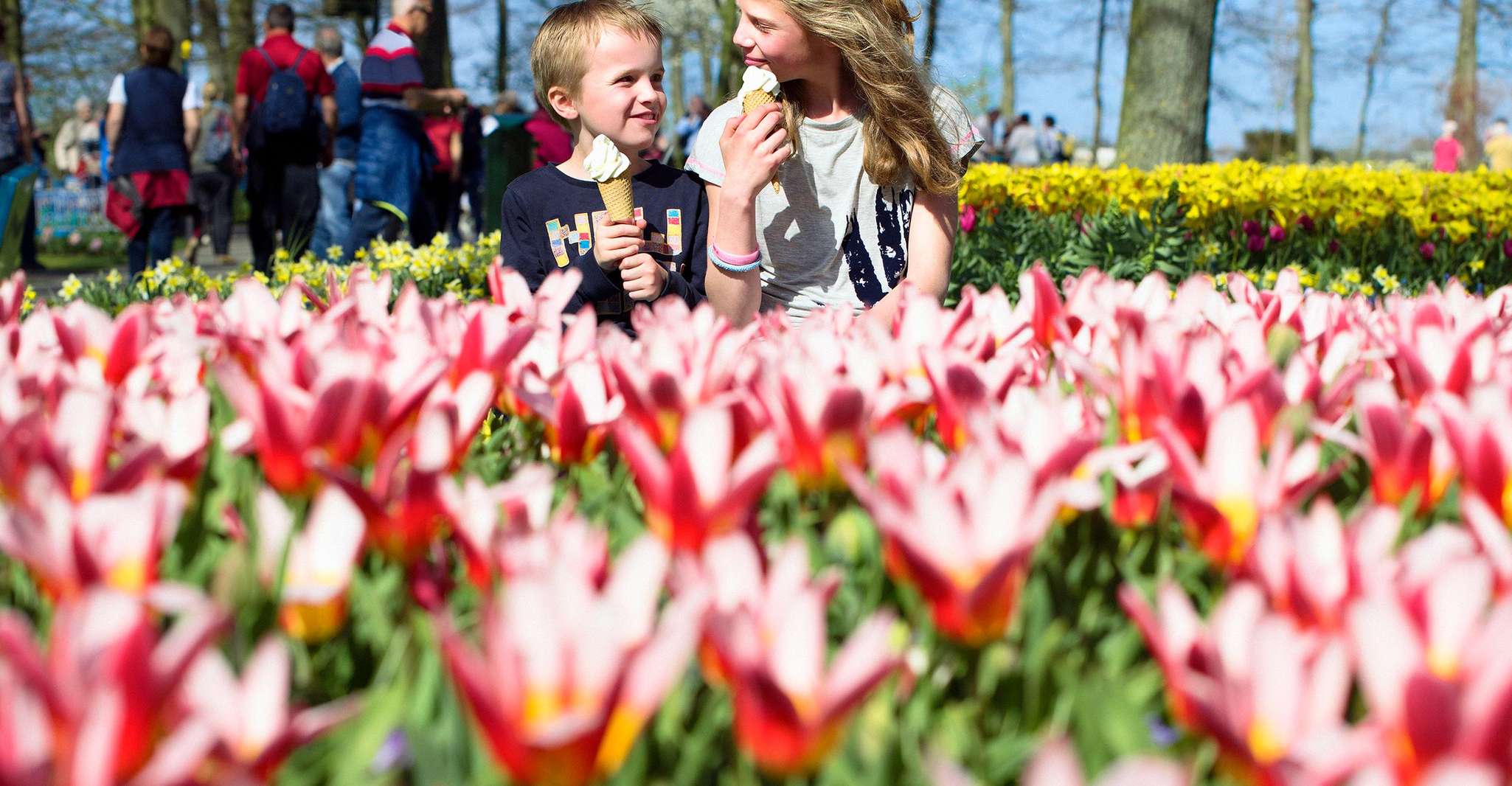 Amsterdam: Keukenhof Entry & Shuttlebus with Flexible Return photo 13