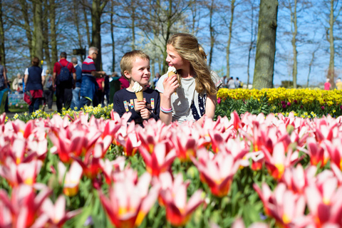 Amsterdam: Keukenhof Ticket with Shuttle Bus + Canal Cruise