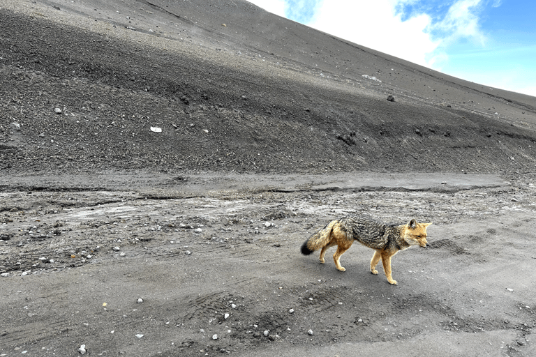 1 Tag Abenteuer in Cotopaxi und Quilotoa von Quito ausGemeinsame Tour