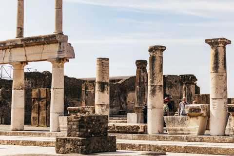 Pompeii: Wheelchair-accessible Private Tour with a Guide Private Van Transfer from Naples, Guide and Tickets