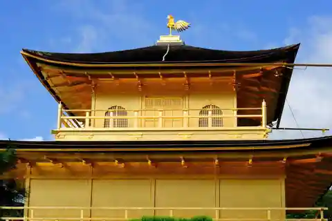 Osaka/Kyoto: Busstur til Nijo slott, Arashiyama og Kinkaku-ji