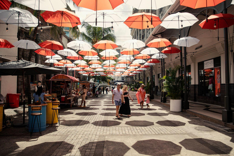 Caminar y explorar la ciudad de Port Louis: tour guiado a pieCamina y explora la ciudad de Port Louis: tour guiado a pie